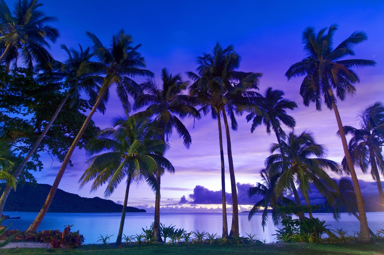 http://thefijivillacompany.com/wp-content/uploads/2014/09/blue_sunset_palms.jpg